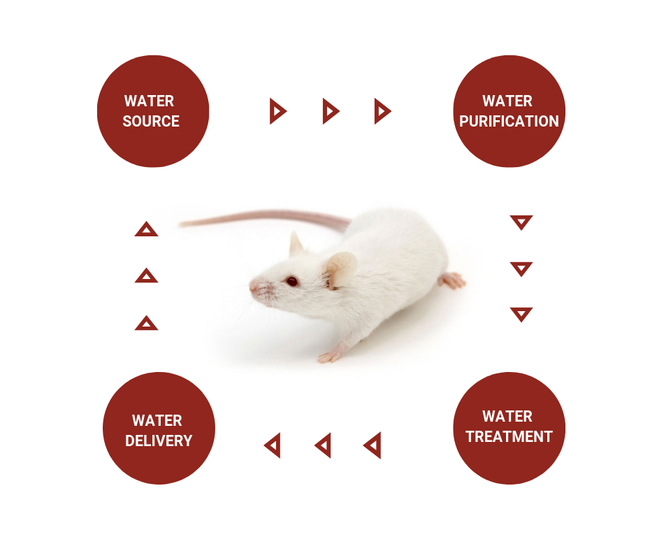 Lab Animal Watering System Design